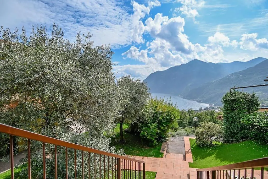 Apartment Terrazza Sul Lago - Solto Collina - By Host4U